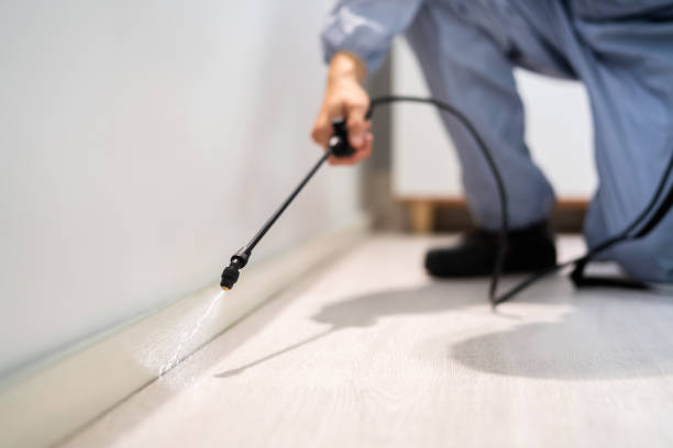 Licensed Mosquito Control service in Port Aransas, TX - Show Me Pest Control