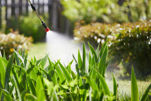 24/7 Emergency Mosquito Control experts in Port Aransas, TX