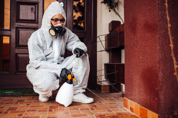 Reliable Mosquito Control contractor in Port Aransas, TX by Show Me Pest Control