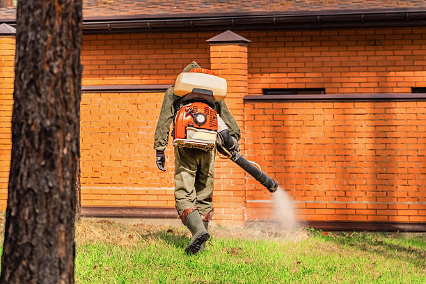 Top rated local Mosquito Control specialists in Port Aransas, TX